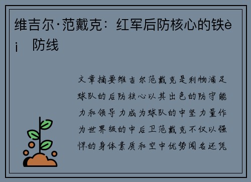 维吉尔·范戴克:红军后防核心的铁血防线 维吉尔·范戴克:红军后防核心的铁血防线